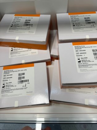 2023 イルミナ iScan