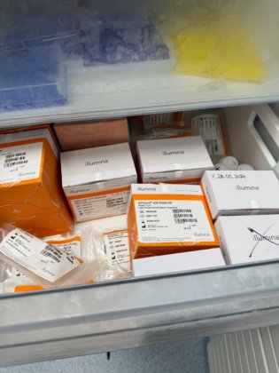 2023 イルミナ iScan