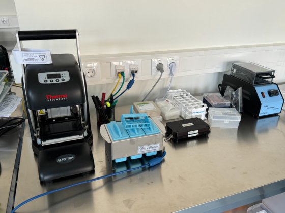 2023 イルミナ iScan