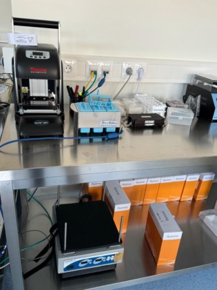 2023 イルミナ iScan