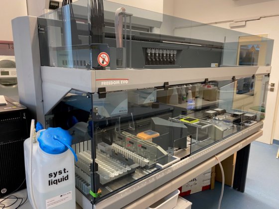 テカン フリーダム エボ 200