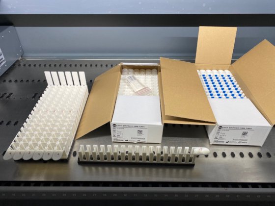 テカン フリーダム エボ 200