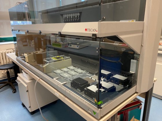 テカン フリーダム エボ 200