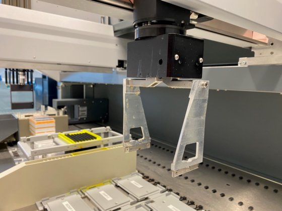 テカン フリーダム エボ 200