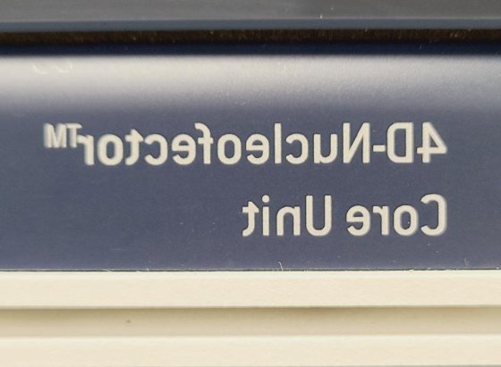 朗扎4D核转染因子电转系统核心
