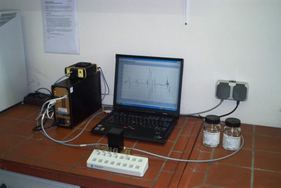 Sentronic NIR-256L62.2