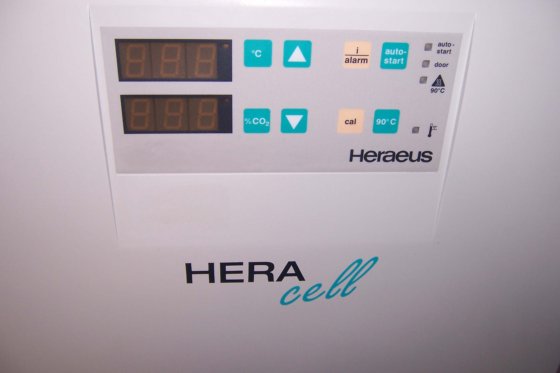 ヘラウス ヘラ-セル