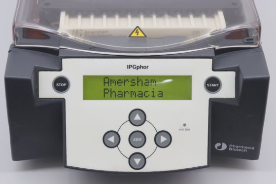 Amersham IPGphor