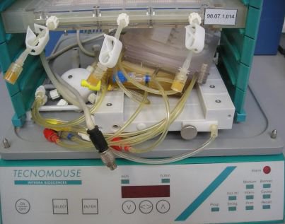 Integra Bioscience Tecnomouse