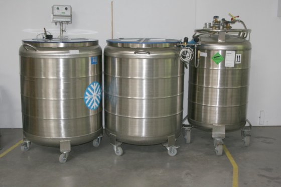 Cryo設備建設 Cryoシステム