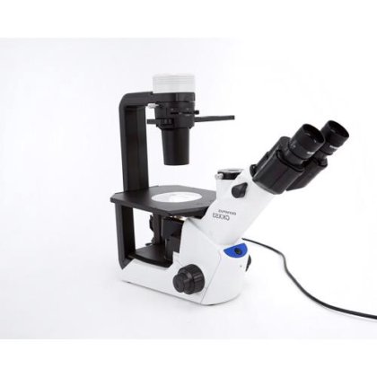 奥林巴斯 CKX53 Trino 倒置相差显微镜 C