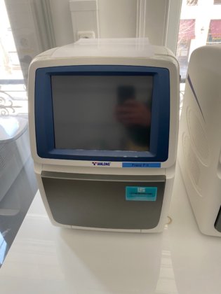 2022年天龙绅士96