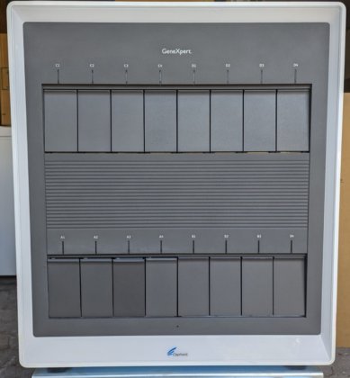 セフェイド ジーンエキスパート XVI