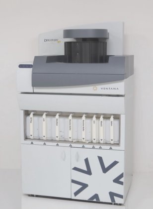 ベンタナ ディスカバリー XT