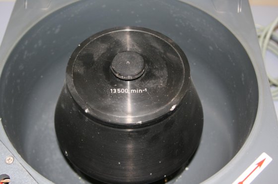 ヘレウス・クリスト・ラボフュージュ