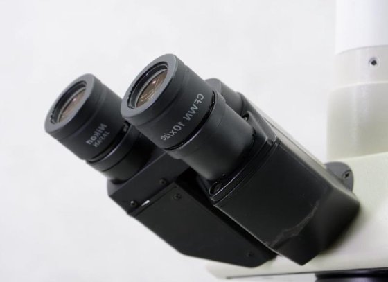 Microscopio Nikon Optiphot-2