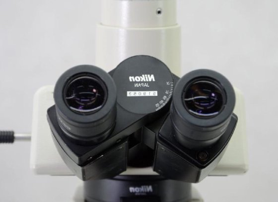 Microscopio Nikon Optiphot-2