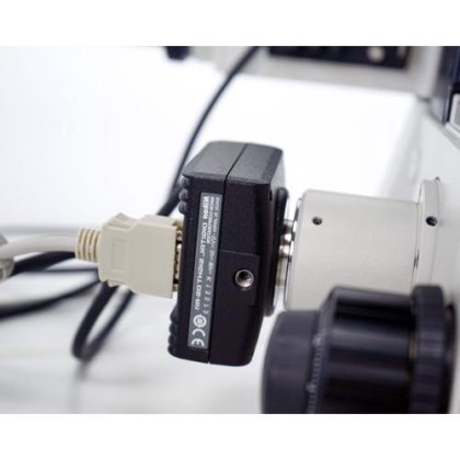 尼康 Ti-U 倒置荧光显微镜 + Lamb