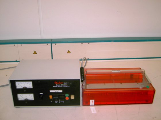 ベンダーとホーベイン エルフォル 1