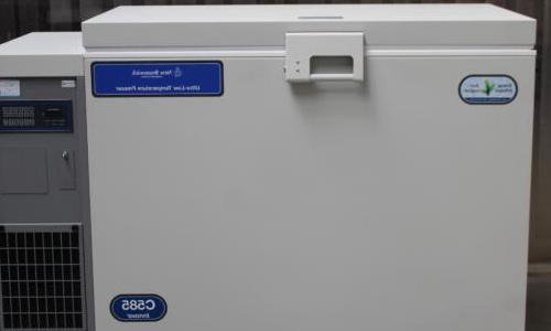 ニューブランズウィック イノーバ C585-86 超低温冷凍庫新