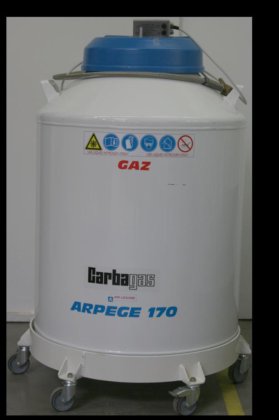 液化空气 Arpege 170