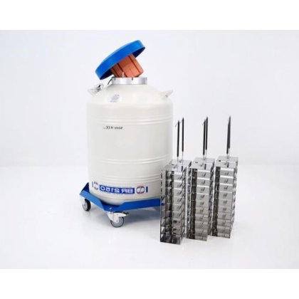 低温扩散 BR2150 氮气罐低温