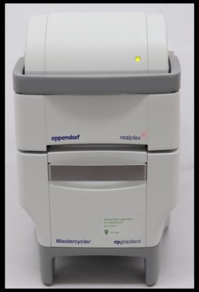 Eppendorf Mastercycler ep realplex 2
