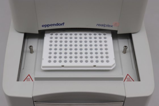 Eppendorf Mastercycler ep realplex 2