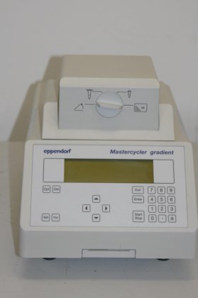 Eppendorf Mastercycler 梯度