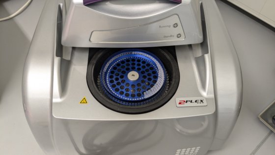 キアゲン ロータージーン Q 2plex