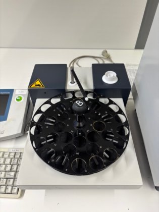 2019 ハッハ・ランゲ・ガニメーデP