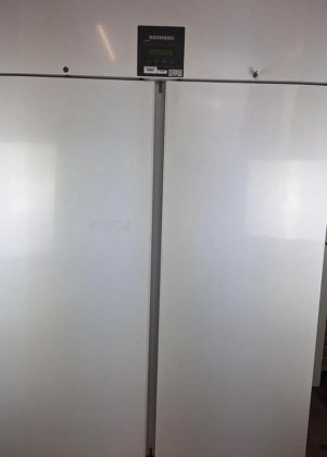 利勃海尔家用电器 LGPv 1420 冰柜利勃海尔家用