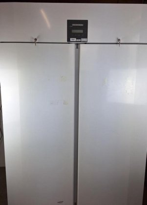 利勃海尔家用电器 LGPv 1420 冰柜利勃海尔家用