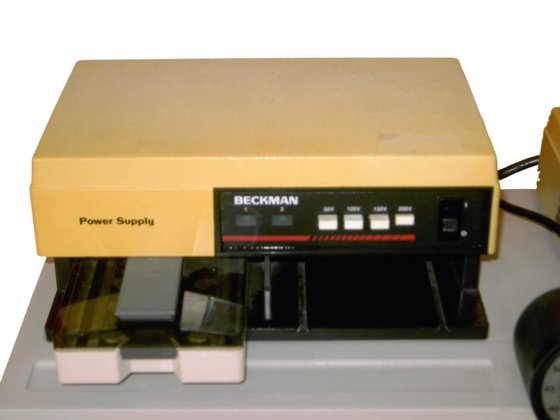 Beckman 凝胶电泳仪