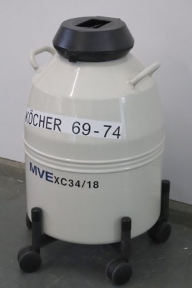 MVE XC 34/18
