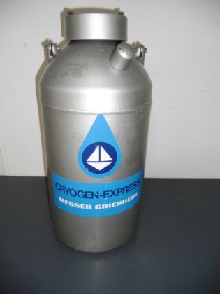 梅塞尔格里斯海姆低温快运