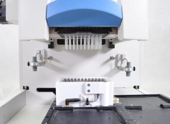 サーモサイエンティフィック プレートメイト 2×3