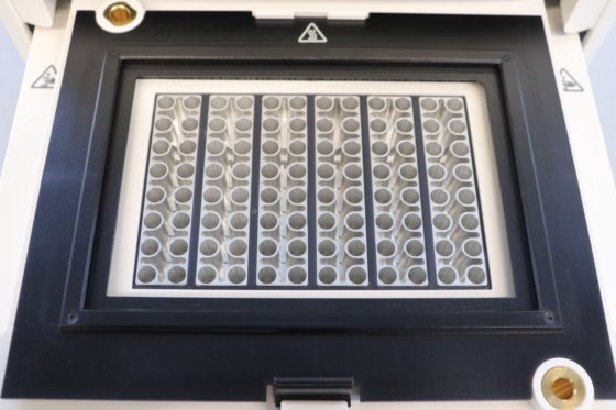 2021 アプリケーション バイオシステムズ QuantStudio 5