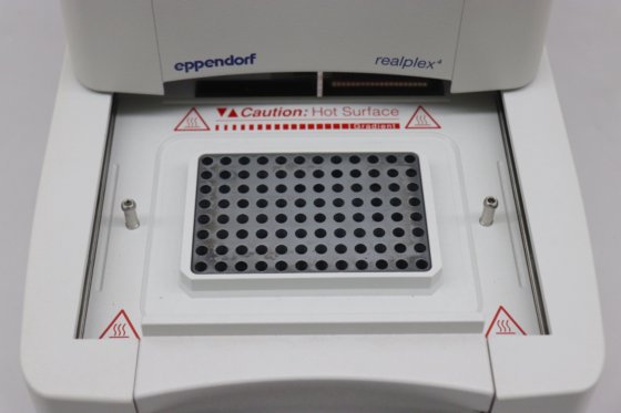 Eppendorf Mastercycler ep realplex 4