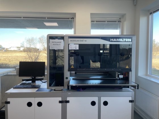 2020 汉密尔顿 Starlet M