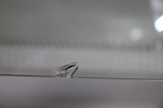 バイオセーフ 120 MD