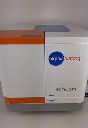 プロテインシンプル モーリスIgG 純度データプロテインシンプ