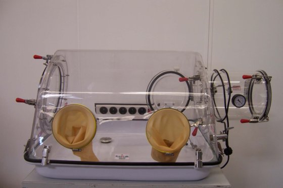 Plas Labs 815-PGB/EXP