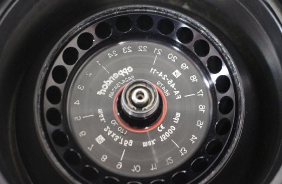 Eppendorf 5424R 冷冻离心机Eppendorf 5