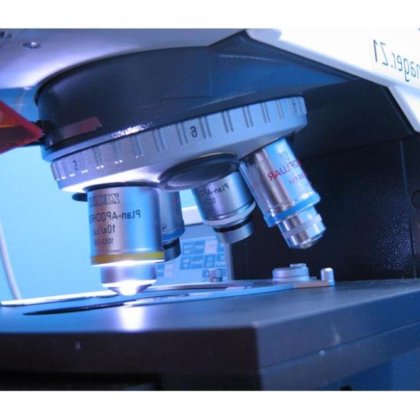 ツァイス Axio Imager Z1 蛍光顕微鏡、DIC、Pl