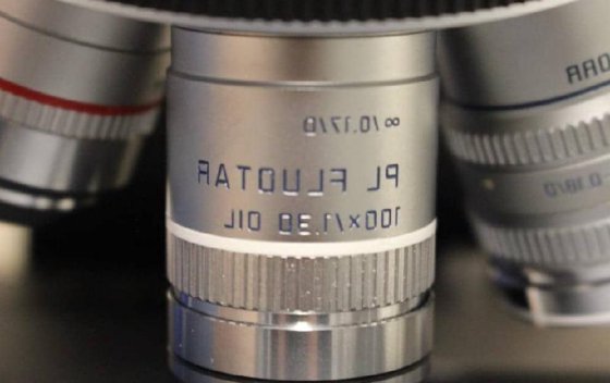 ライカ DM LB 三眼透過光顕微鏡