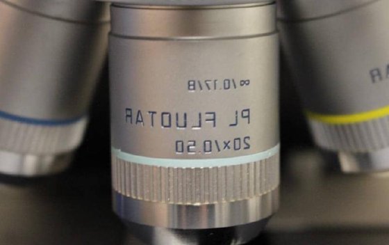 ライカ DM LB 三眼透過光顕微鏡