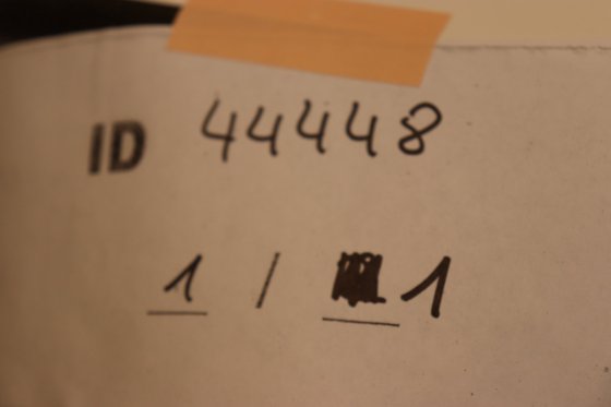 インビトロジェン iBlot 2