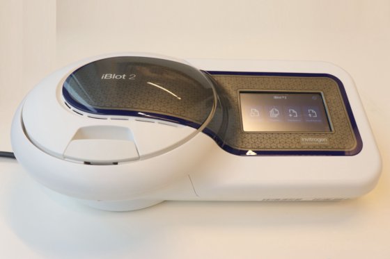 インビトロジェン iBlot 2