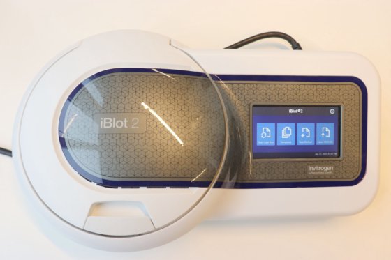 インビトロジェン iBlot 2